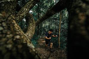 BIB: 
                            <button type="button" onclick="openModal(25708750)" class="btn btn-primary btn-sm float-right btn-popup" data-toggle="modal" data-target=".modal-high-quality">
                        <i class="fas fa-shopping-cart"></i> Add to Cart
                    </button>
                                            <button type="button" onclick="isThisMe(25708750, true)" class="btn btn-success btn-sm float-right btn-popup btn-isme hidden" data-toggle="tooltip" data-placement="bottom" title="นี่คือรูปของคุณใช่ไหม คลิกที่นี่เพื่อเอาเข้าอัลบั้ม">
                        <i class="fas fa-plus"></i> Add to album
                    </button>
                    <button type="button" onclick="isThisMe(25708750, false)" class="btn btn-warning btn-sm float-right btn-popup btn-isnotme hidden">
                        <i class="fas fa-ban"></i> Remove from album
                    </button>